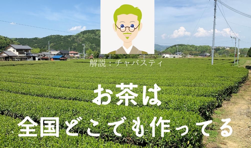 お茶生産地 日本全国｜真・茶